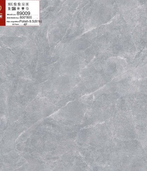 GẠCH ĐÁ BÓNG 89009