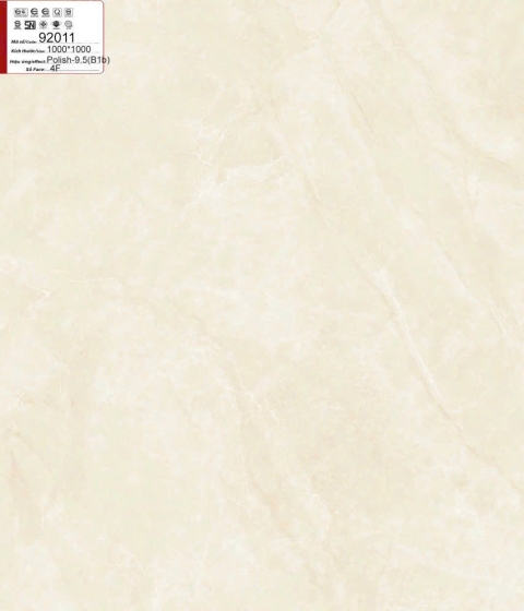 GẠCH ĐÁ BÓNG 92011