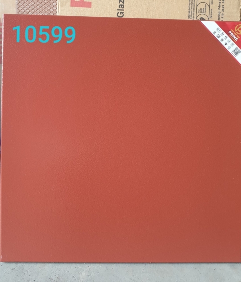 GẠCH COTTO 10599