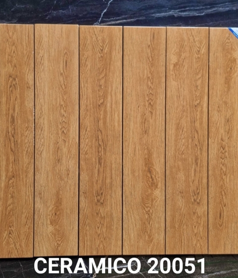 GẠCH GIÃ GỖ 20051