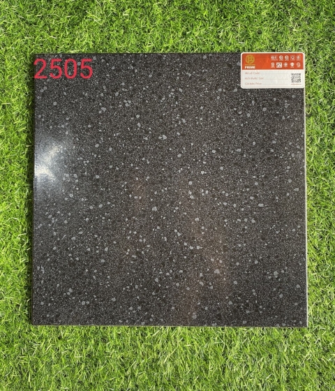 GẠCH LÁT NỀN  2505