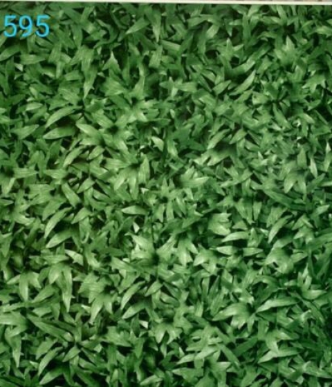 GẠCH SÂN VƯỜN 1595