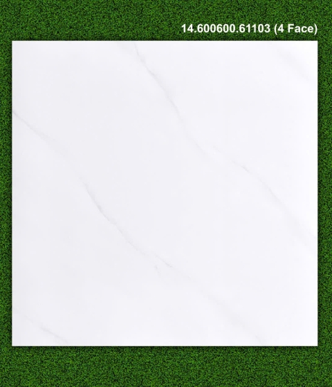 Gạch men bóng 61103