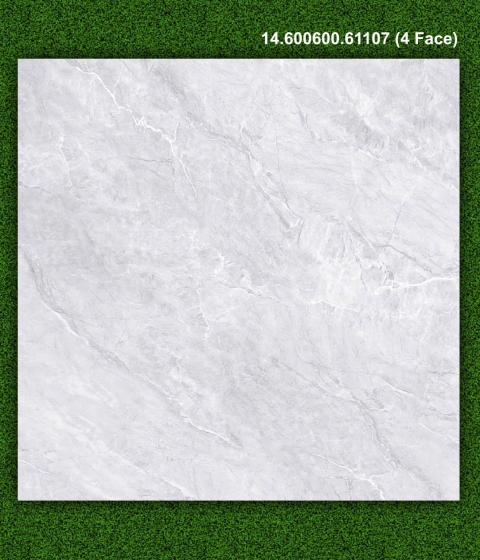 Gạch men bóng 61107