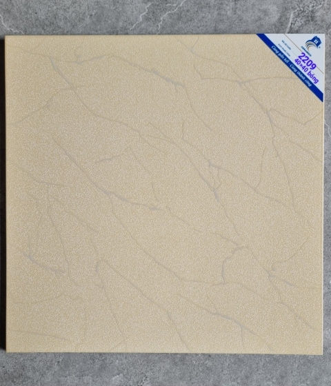 GẠCH LÁT NỀN  2209