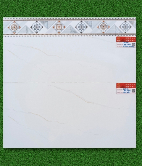 GẠCH MEN BÓNG  22066-22067