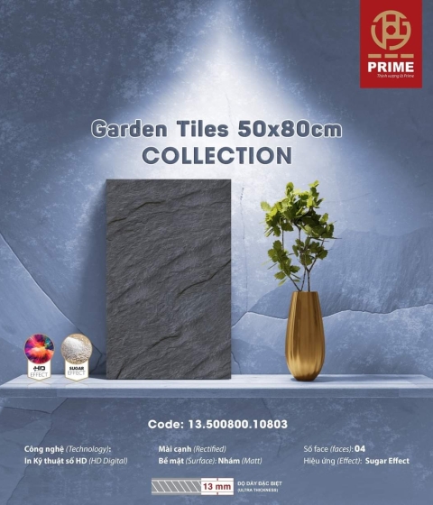 SÂN VƯỜN MS 10803