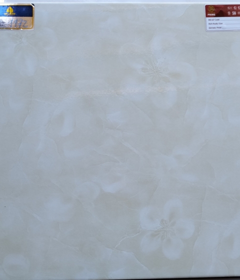 GẠCH MEN BÓNG  1172