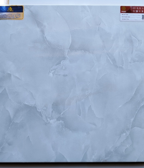 GẠCH MEN BÓNG 2659