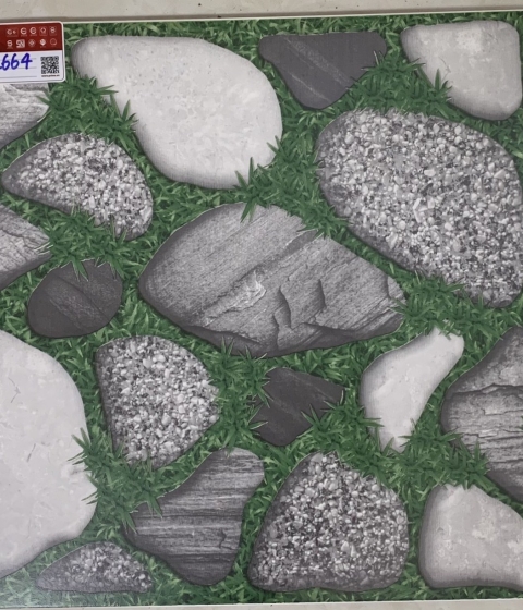 GẠCH SÂN VƯỜN 2664 