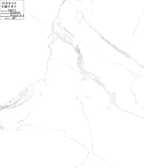 GẠCH ĐÁ BÓNG 29611