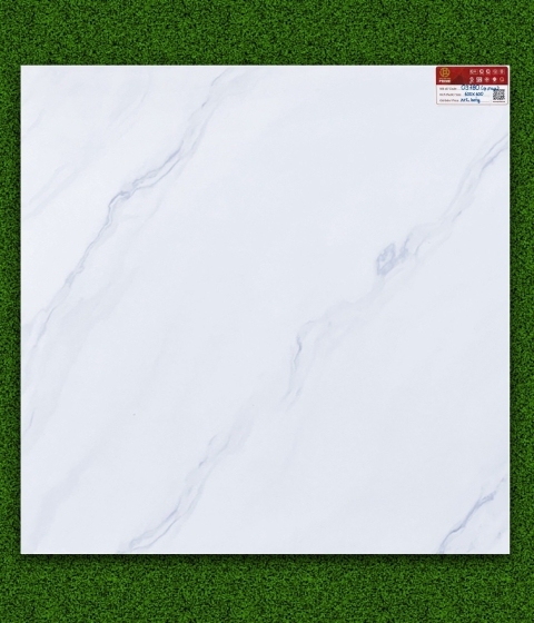 GẠCH MEN BÓNG 9780