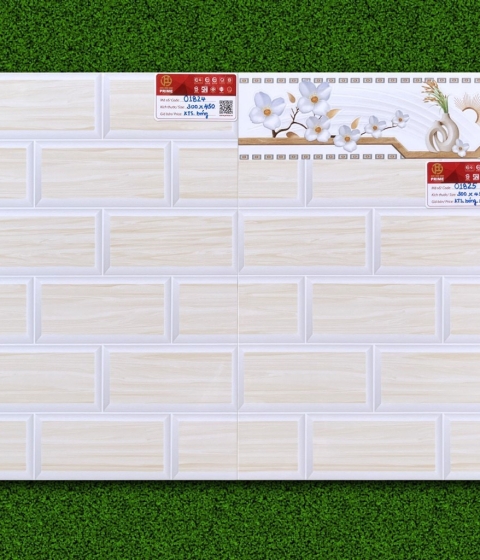 GẠCH MEN BÓNG 1824-1825