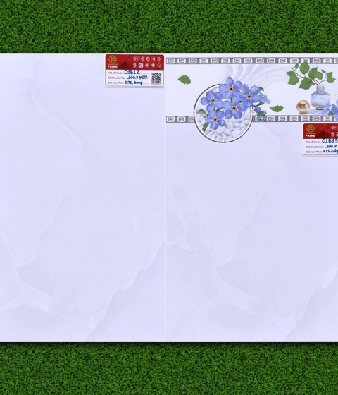 GẠCH MEN BÓNG  1813-1812