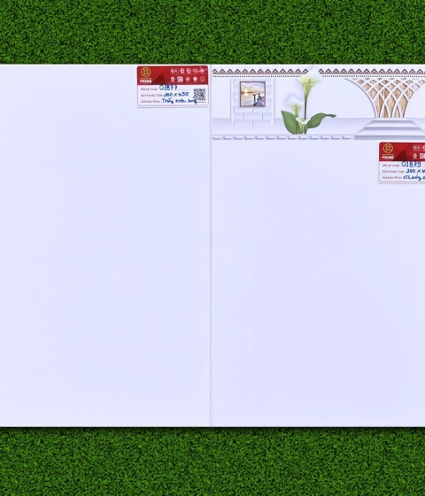 GẠCH MEN BÓNG 1877/1879