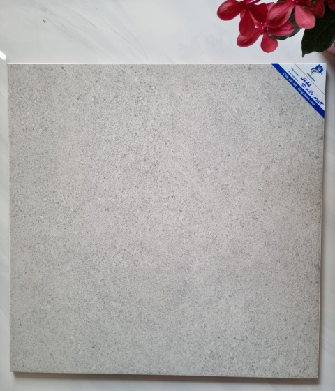 GẠCH MEN MỜ 2642