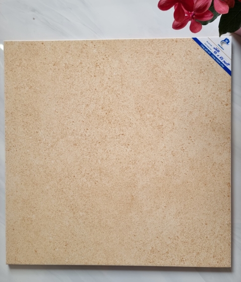 GẠCH MEN MỜ 2641