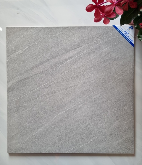 GẠCH MEN MỜ 2664