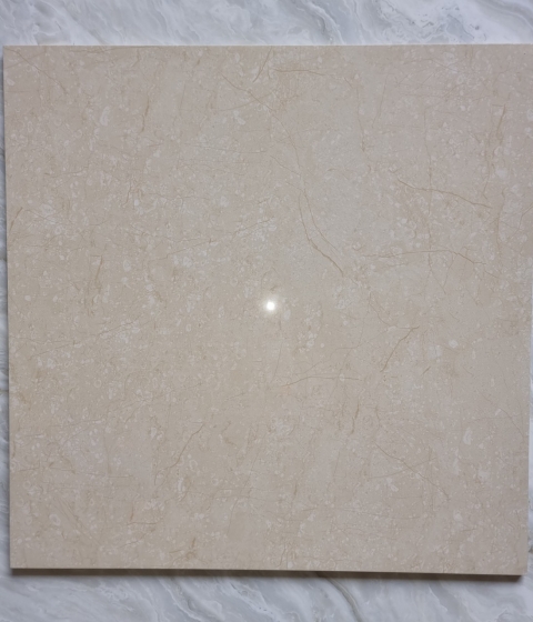 GẠCH LÁT NỀN 17010 BKTP