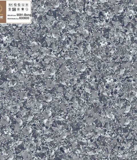 GACH LÁT NỀN 9091 BKTP