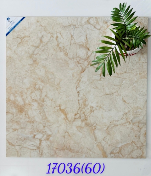 GẠCH LÁT NỀN 17036 BKTP