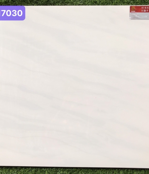 GACH LÁT NỀN 17030  BKTP