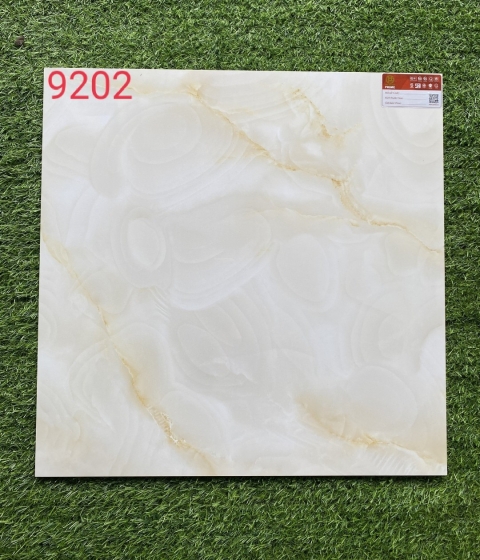 GẠCH LÁT NỀN 9202 BKTP