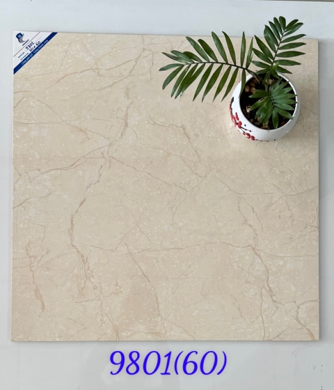 GẠCH MEN BÓNG 9801