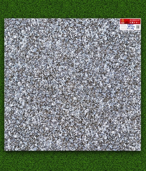 GẠCH MEN BÓNG 9820