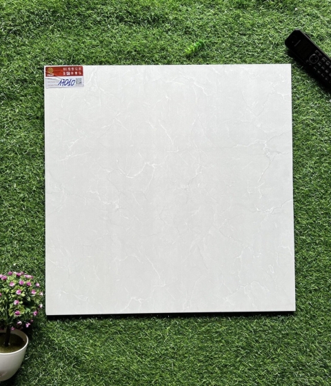 GẠCH MEN BÓNG 17010