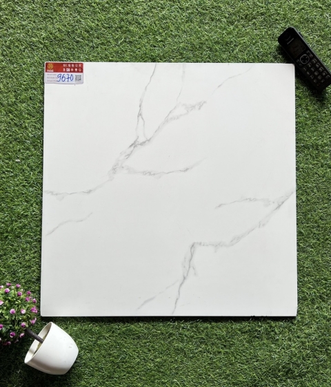 GẠCH MEN MỜ 9670