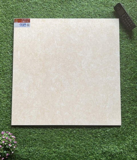 GẠCH MEN MỜ 17009