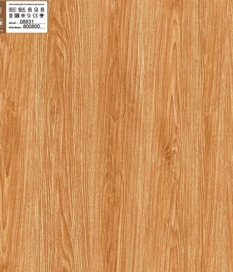 GẠCH ĐÁ BÓNG 8831