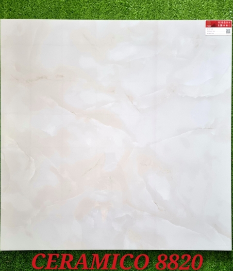 GẠCH ĐÁ BÓNG 8820