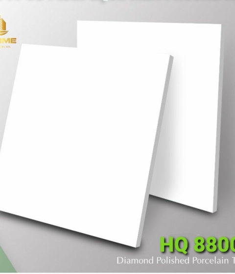 GẠCH ĐÁ BÓNG 8800 PN 