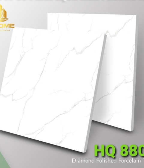 GẠCH ĐÁ BÓNG 8801