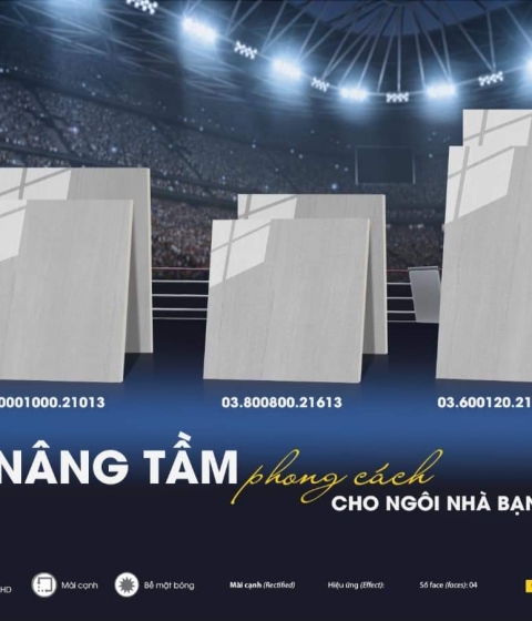 GẠCH ĐÁ BÓNG 21413