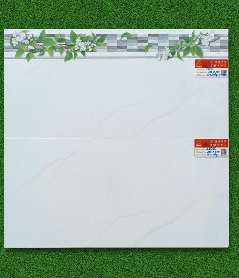 GẠCH MEN BÓNG 22060-22061