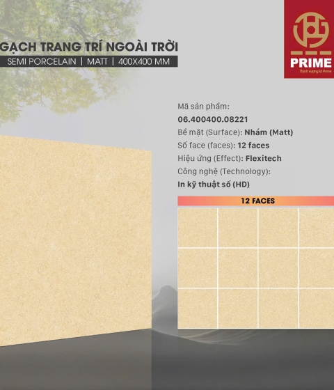 Gạch Porcelain 8221