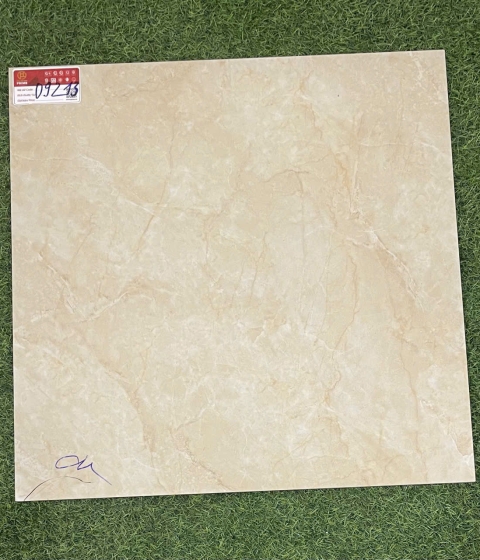 GẠCH ĐÁ BÓNG 9213