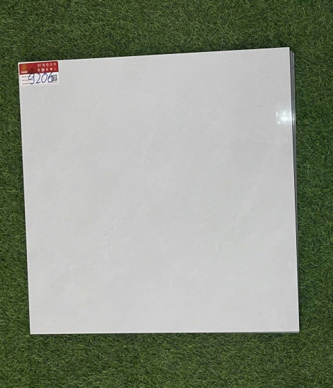 GẠCH ĐÁ BÓNG 9206