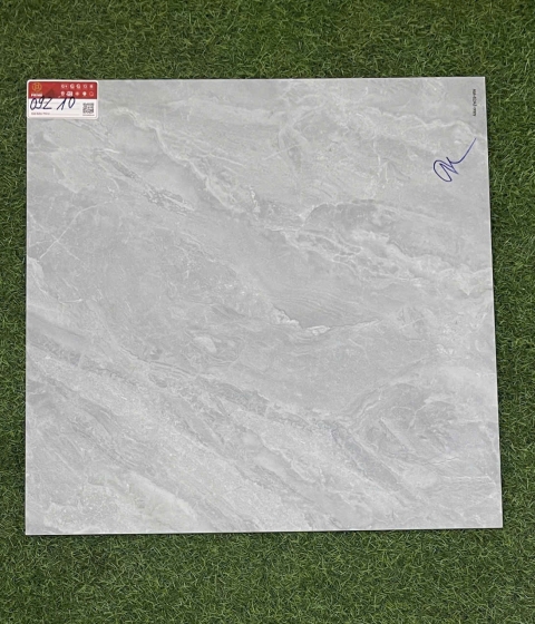 GẠCH ĐÁ BÓNG 9210