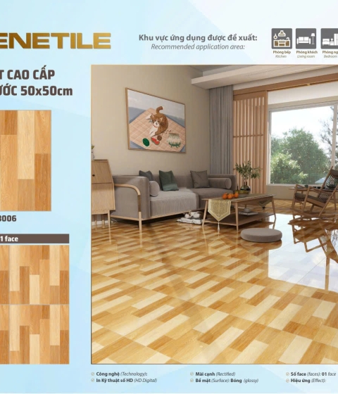 GẠCH MEN BÓNG 63006