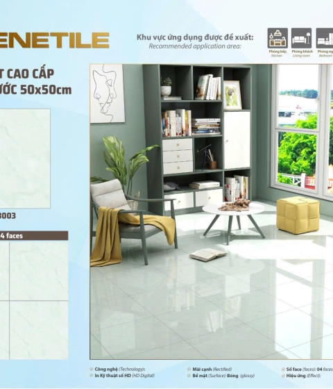 GẠCH MEN BÓNG 63003