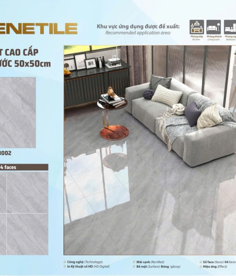 GẠCH MEN BÓNG 63002