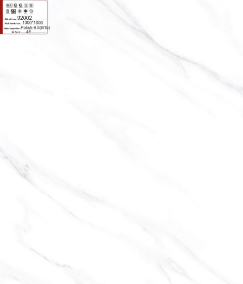 GẠCH ĐÁ BÓNG 92002