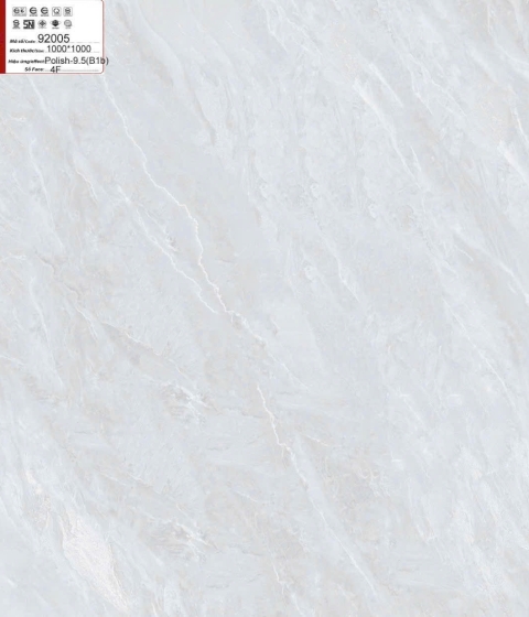 GẠCH ĐÁ BÓNG 92005