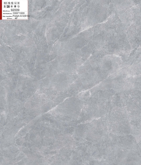 GẠCH ĐÁ BÓNG 92009